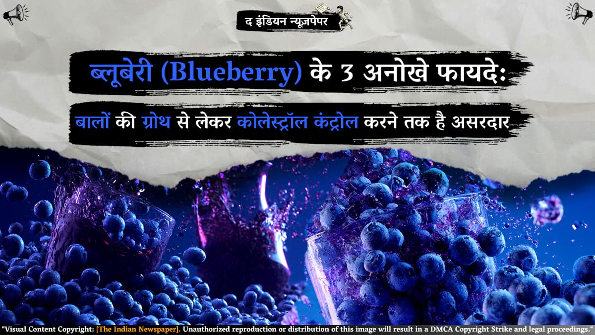 ब्लूबेरी (Blueberry) के 3 अनोखे फायदे: बालों की ग्रोथ से लेकर कोलेस्ट्रॉल कंट्रोल करने तक है असरदार