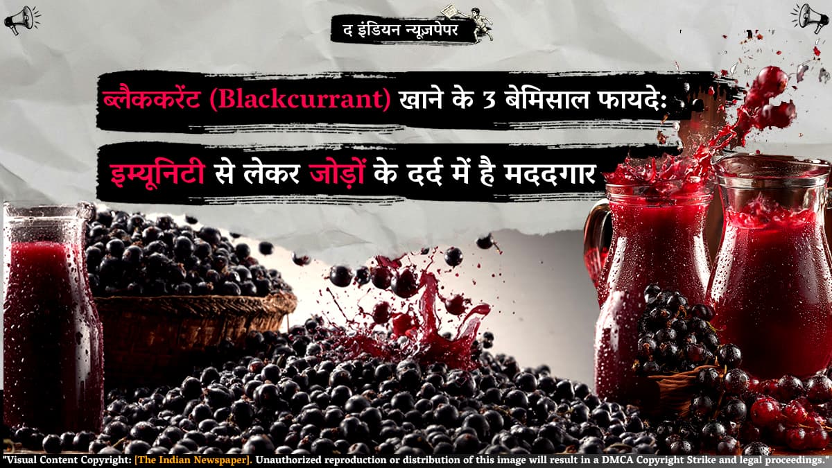 ब्लैककरेंट (Blackcurrant) खाने के 3 बेमिसाल फायदे: इम्यूनिटी से लेकर जोड़ों के दर्द में है मददगार