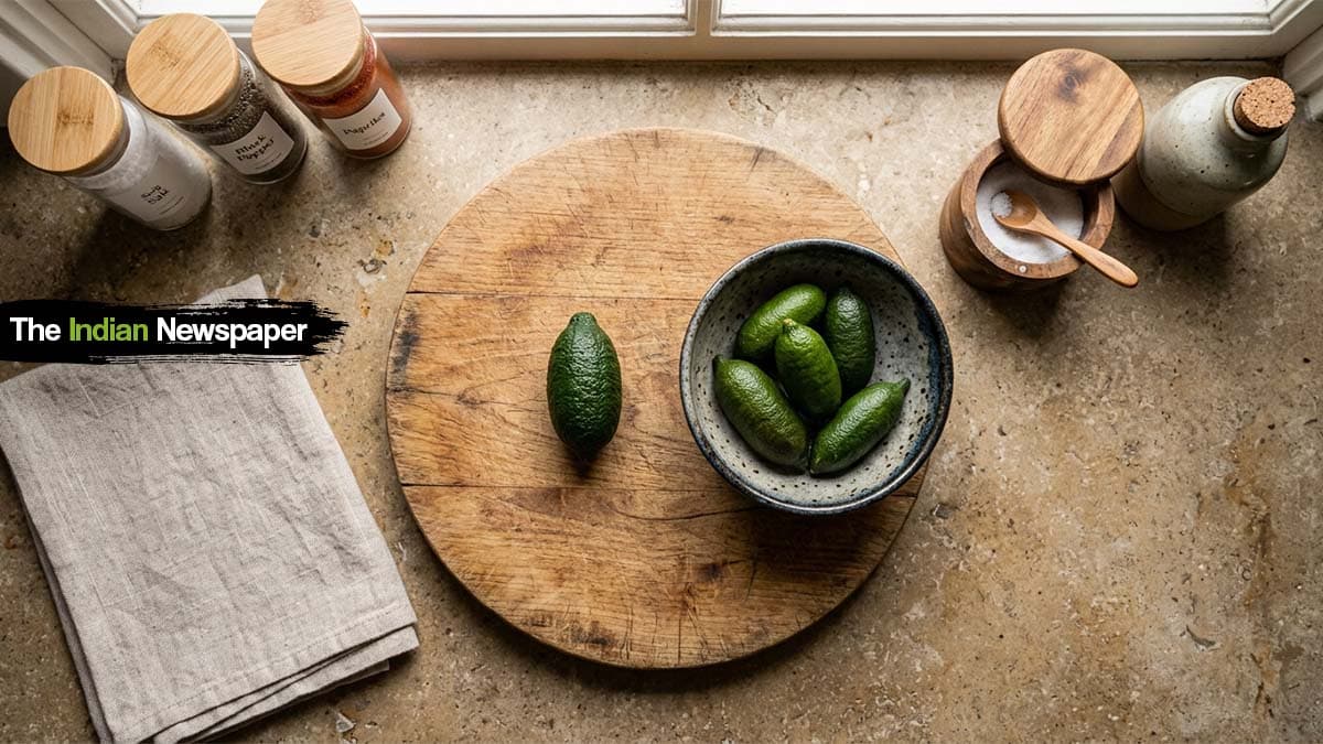 फिंगर लाइम (Finger Lime): कैवियार जैसा फल, विटामिन C से भरपूर